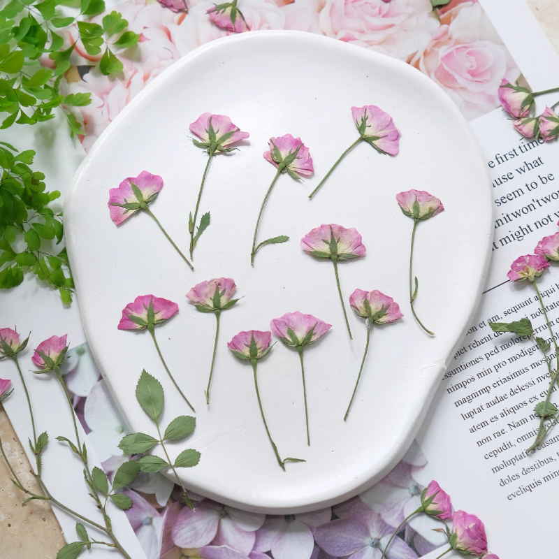 Holiday Candle Set - 12pcs,Mini Pink Rose Pressed Flowers,Real Rose