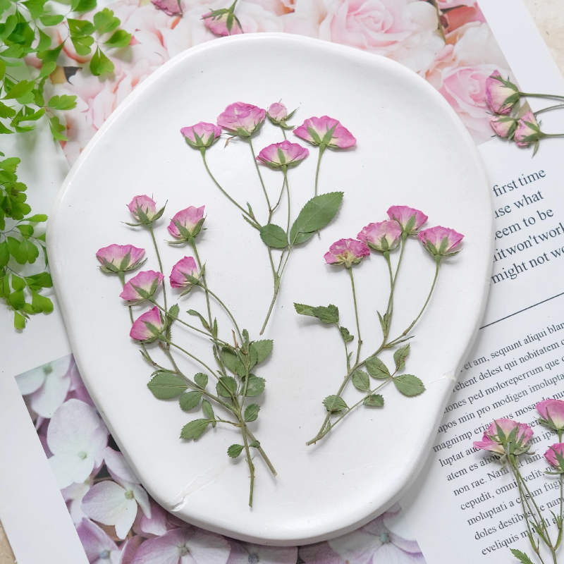 12pcs,Mini Pink Rose Pressed F - Holiday Candle Set ulasan dan harga
