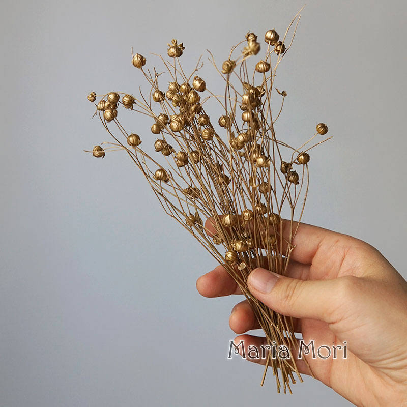 5g Preserved Flax Bean Natural - Holiday Candle Set ulasan dan harga