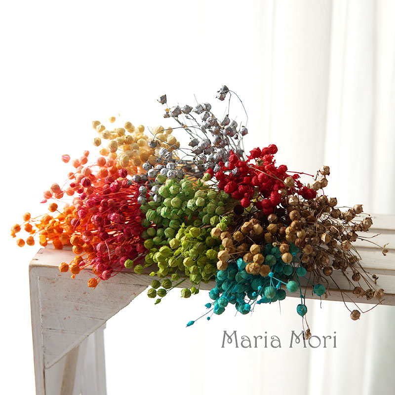 5g Preserved Flax Bean Natural - Holiday Candle Set ulasan dan harga