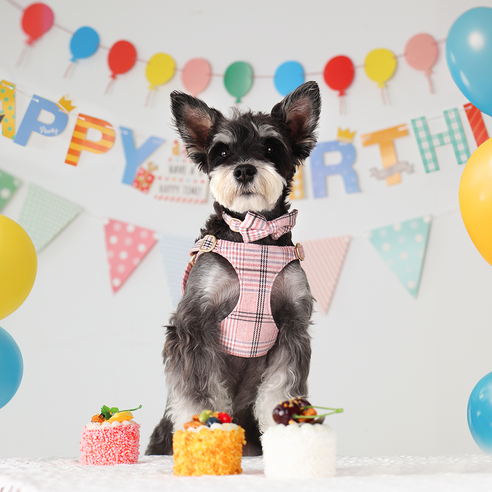 3pcs/set Dog Collar Harness le - Christmas Throw Blanket ulasan dan harga
