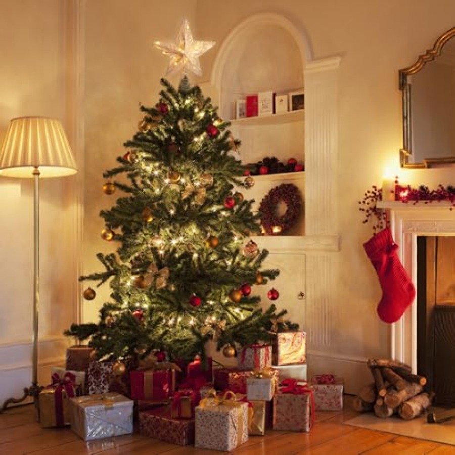 Christmas Tree Topper 10